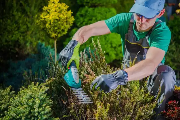landscaping services Pine Valley